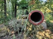 Мирные переговоры: слово и револьвер в борьбе за украинский мир